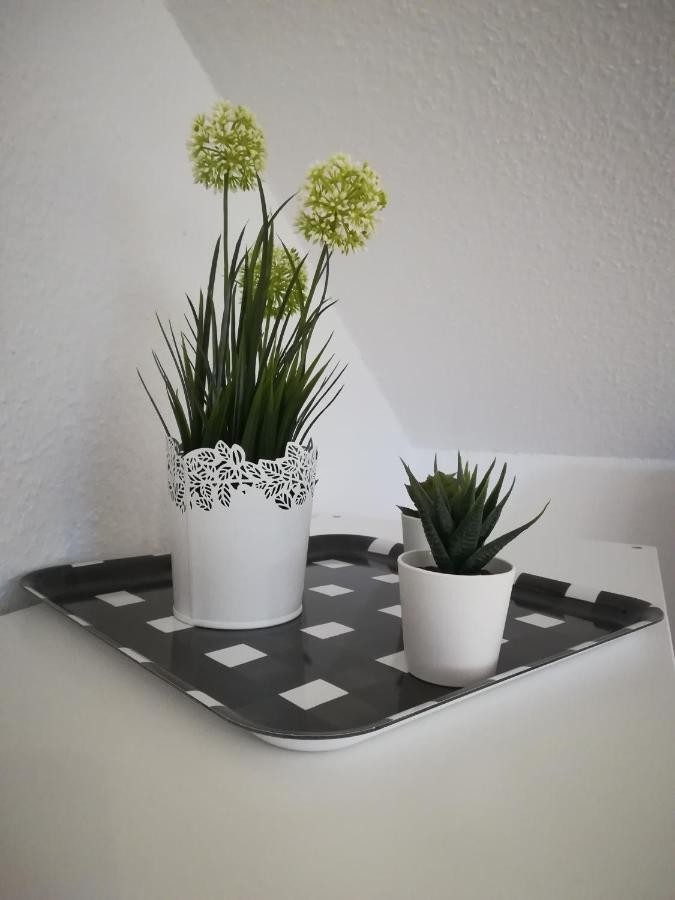 Ferienwohnung Bad Oldesloe Zewnętrze zdjęcie